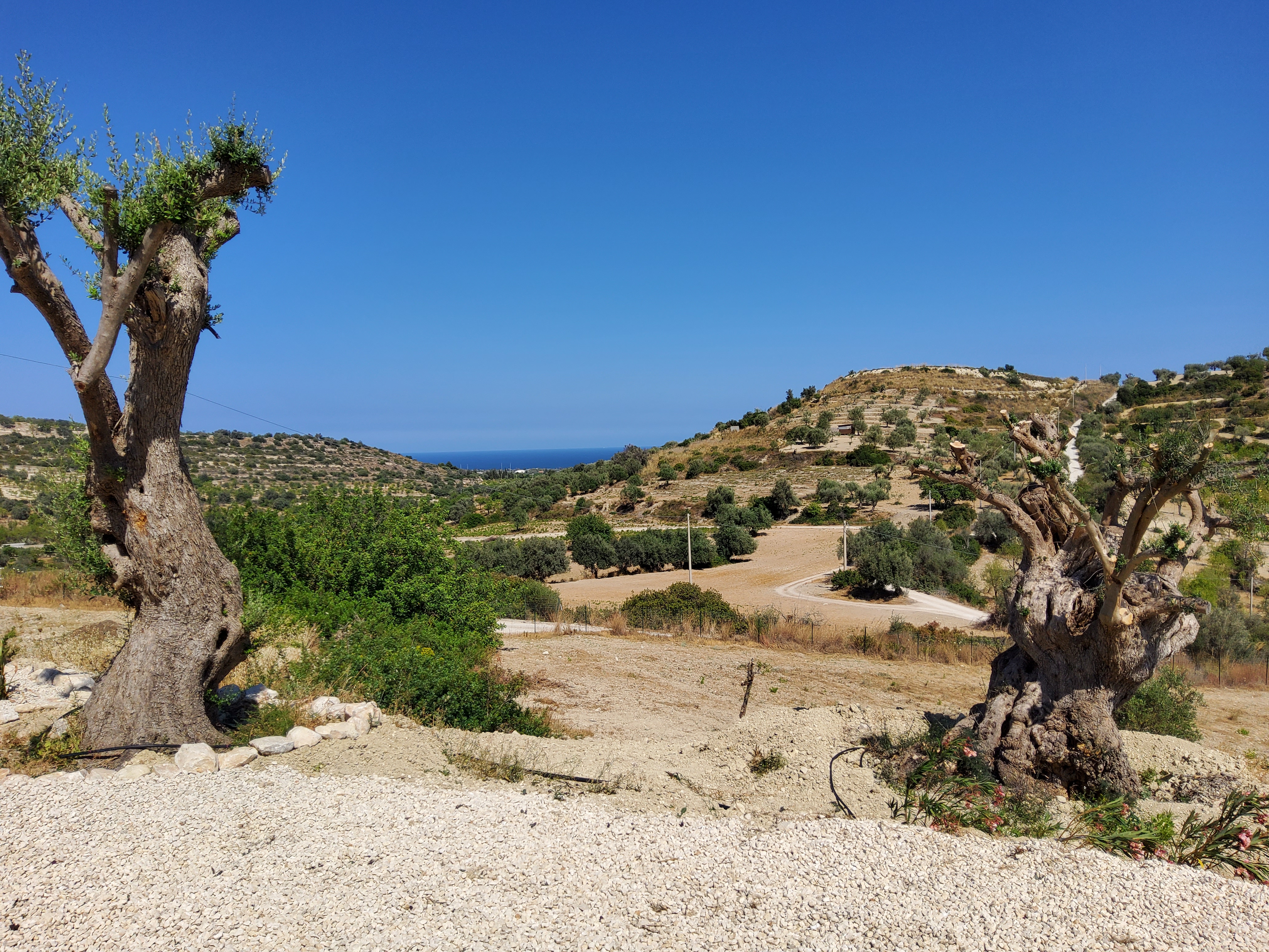 taleka wide view 1