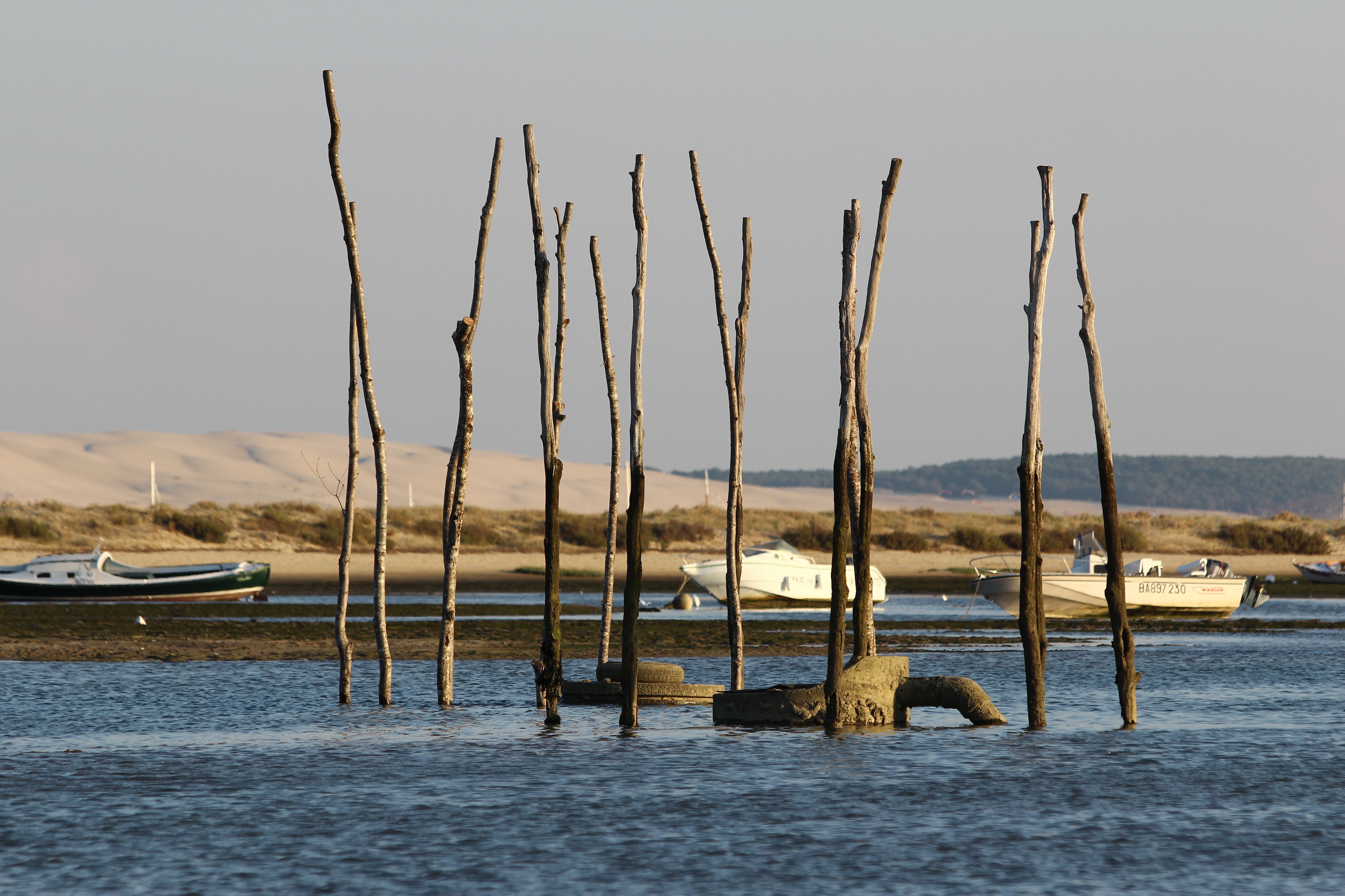 Où puis-je voyager et quand ? 