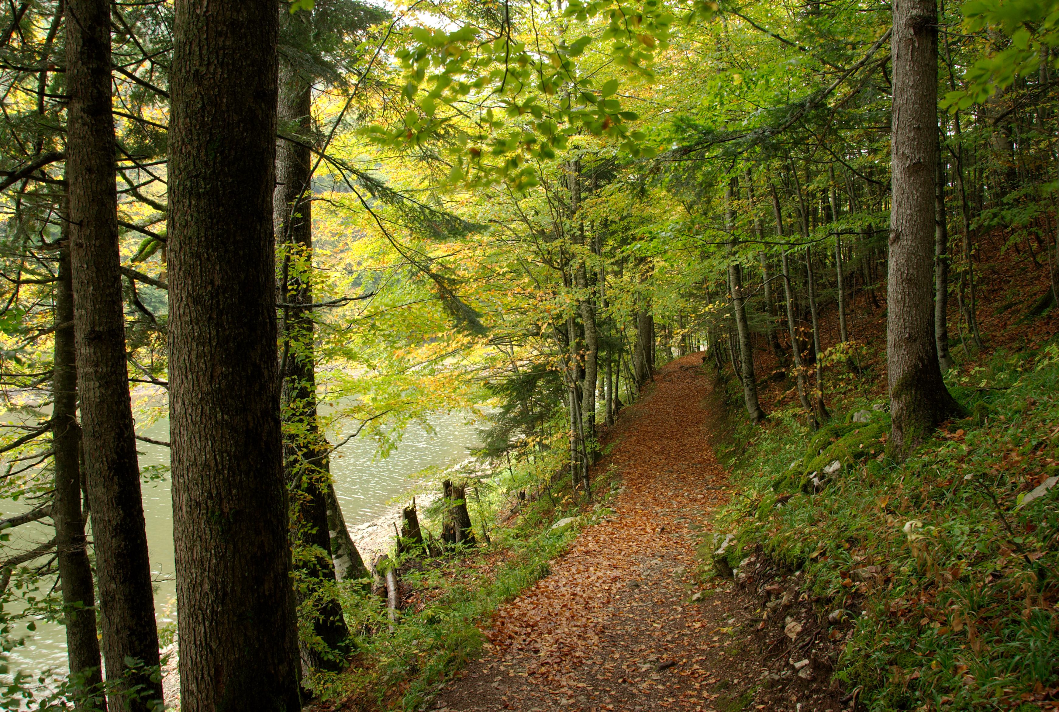 Déclaration de confidentialité - GDPR