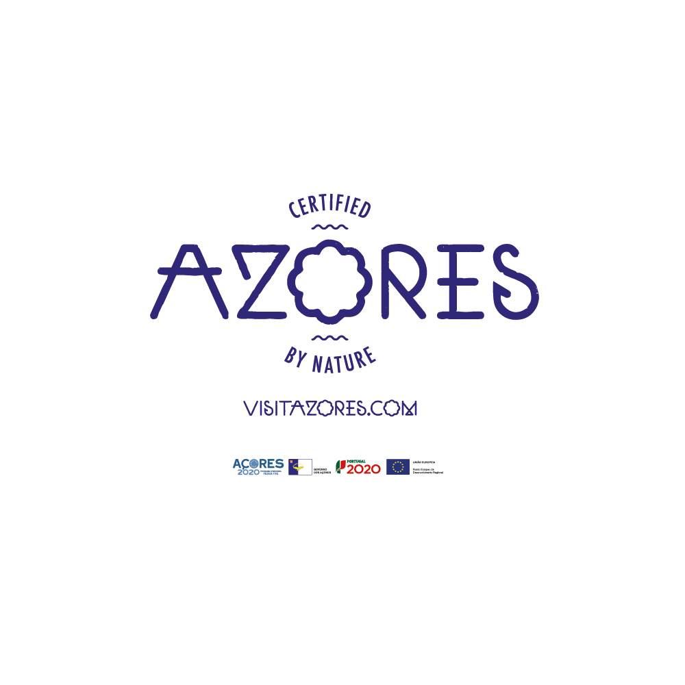 section avontuur op de azoren 3