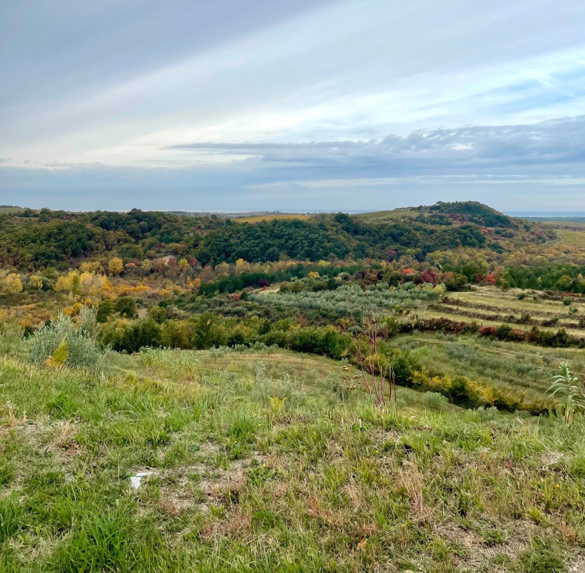 section studiereis kroatie 4