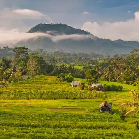 De mooiste plekken op Bali volgens locals