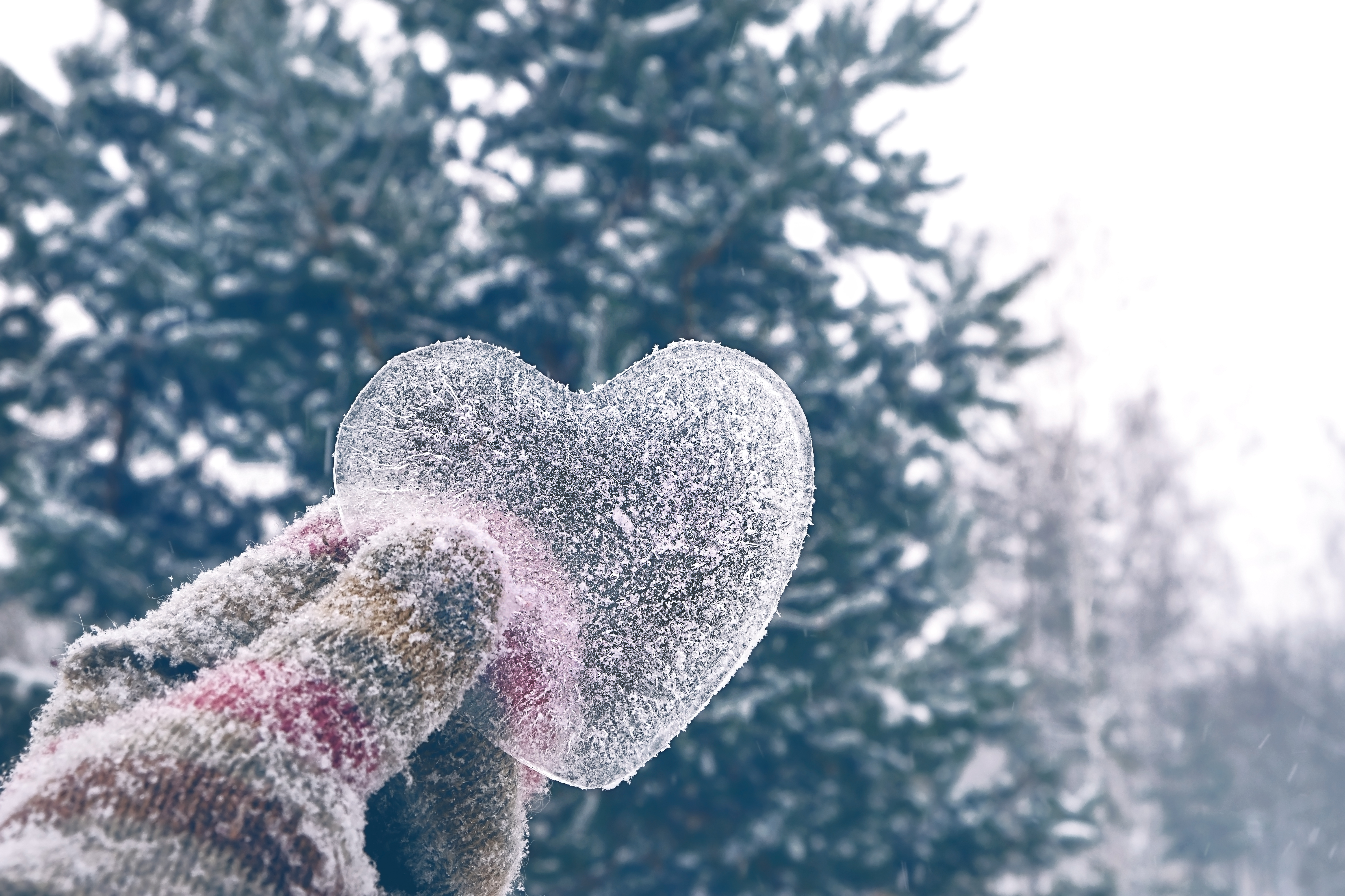 Vacances de carnaval 2026 avec Caractère