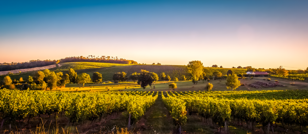 Vacances d'automne 2026 avec Caractère