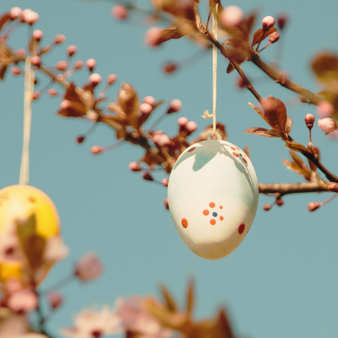 ontwerp zonder titel