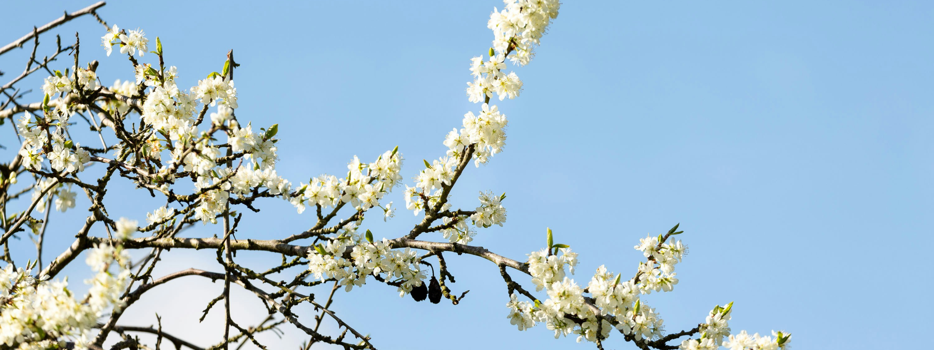 Vacances de Pâques 2026 avec Caractère