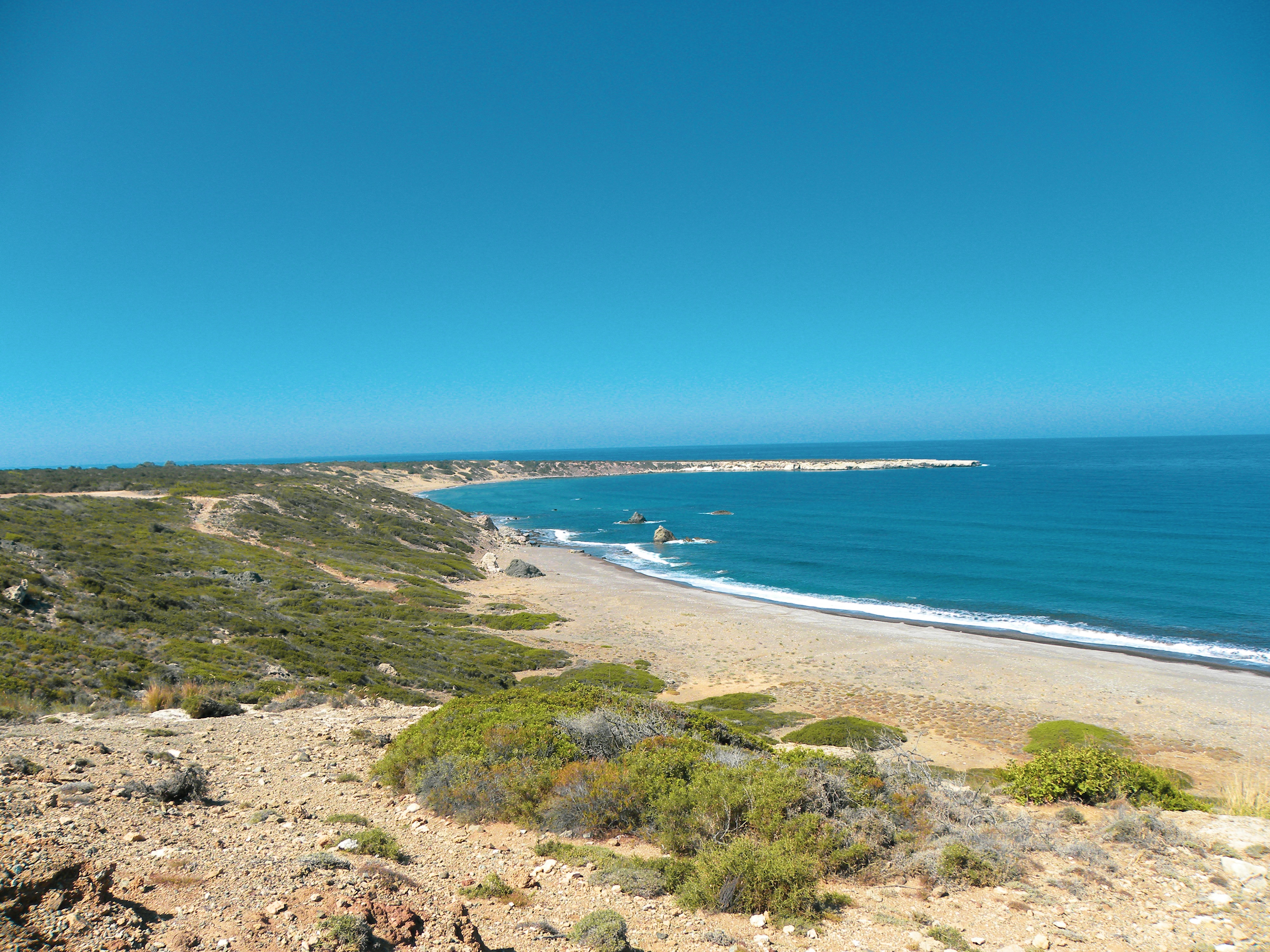 lara beach cyprus