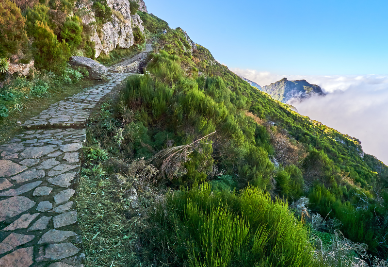 madeira eilandvakantie