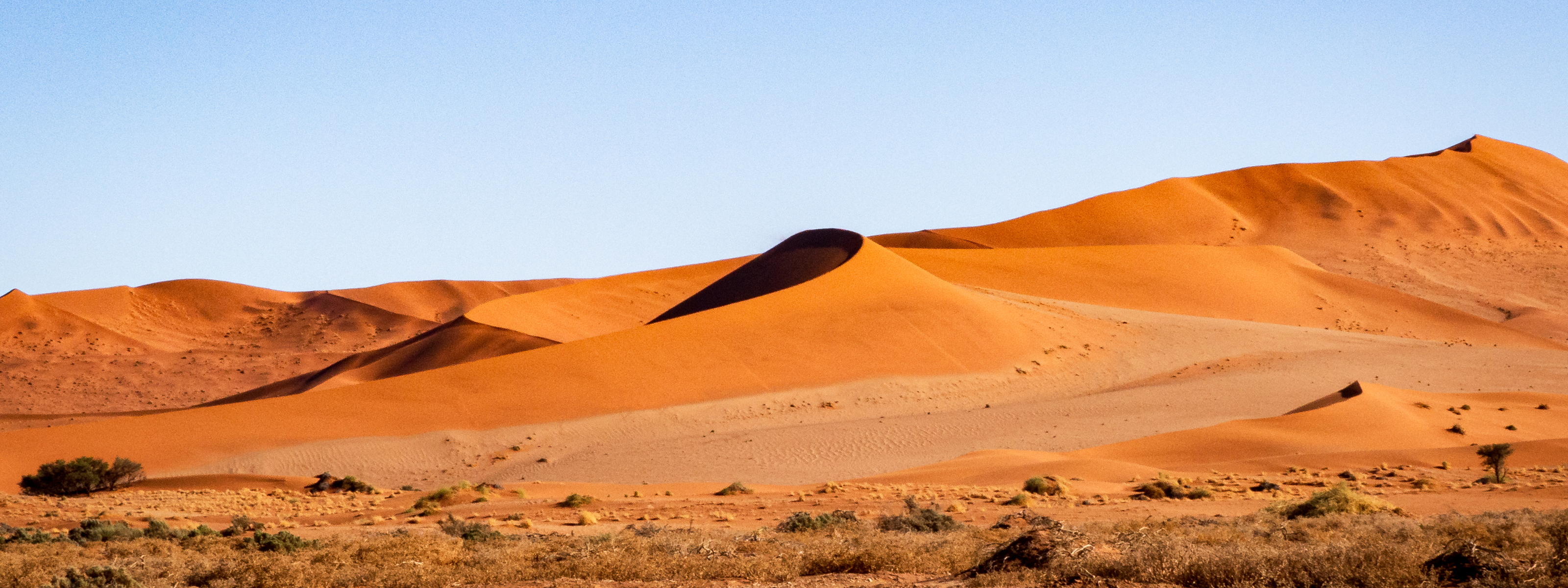 De ultieme rondreis in Namibië: alles wat je moet weten