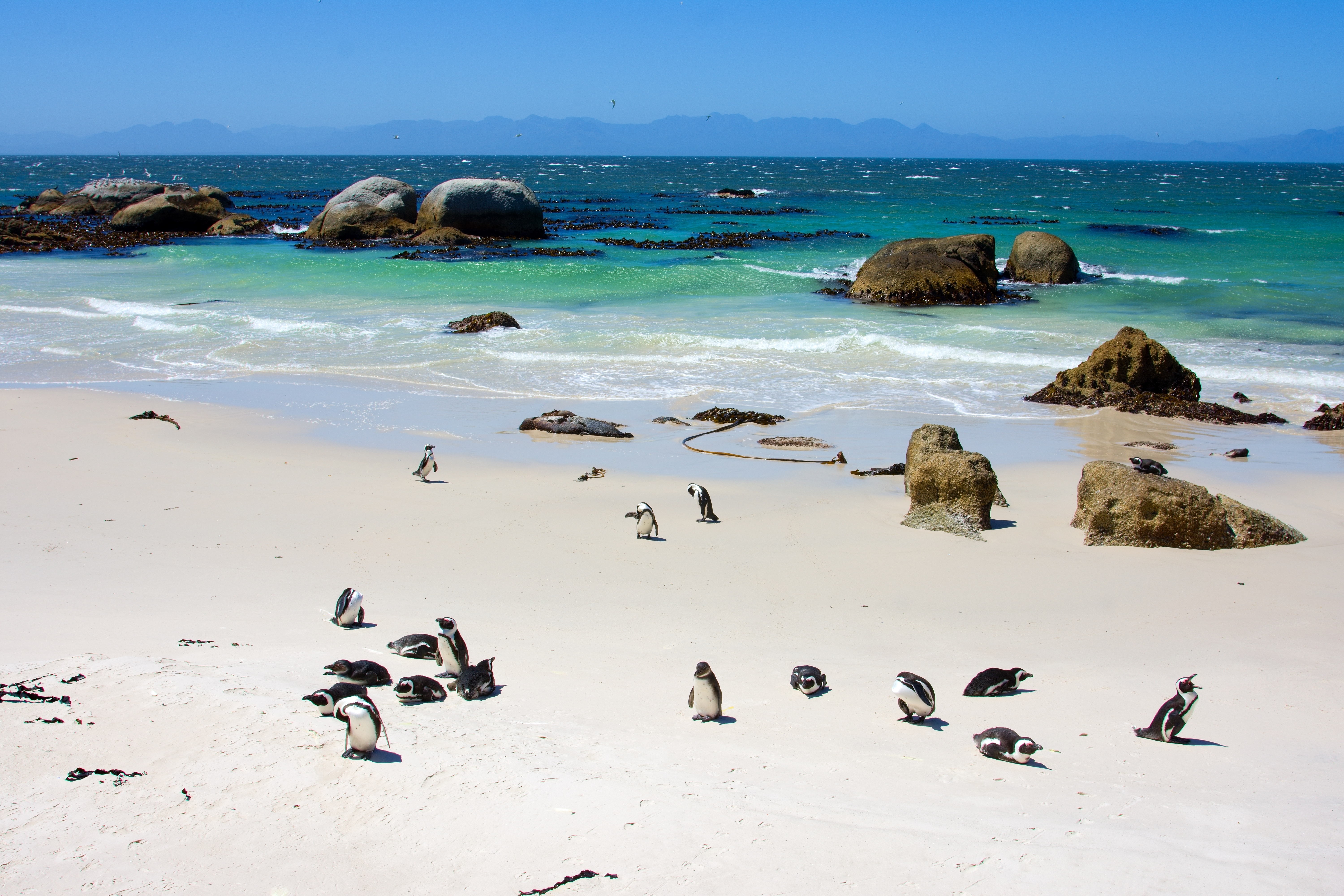 De mooiste rondreis door Zuid-Afrika: wild, stijlvol en onvergetelijk