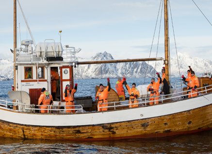 vissen lofoten