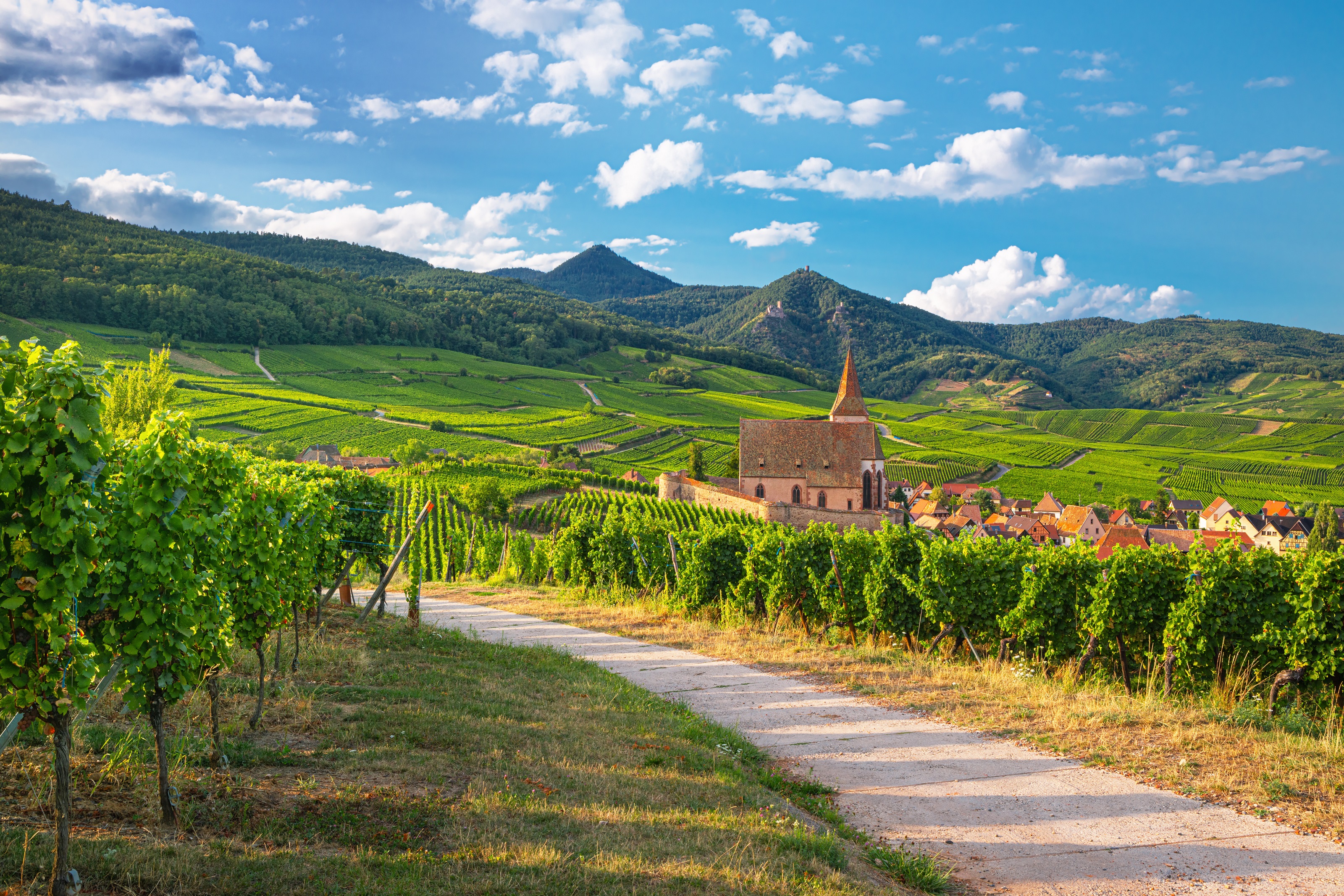 L'Alsace, destination idéale pour un court séjour hors saison
