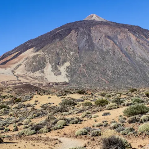 Quelles sont les îles Canaries ?