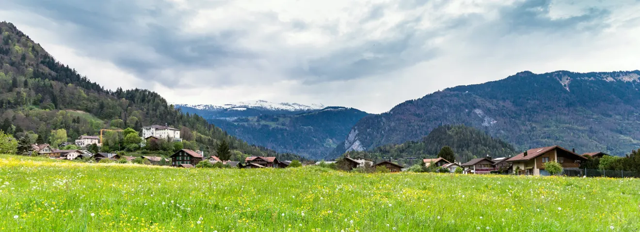zwitserland weide alpen